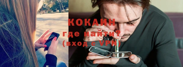 шишки Бронницы