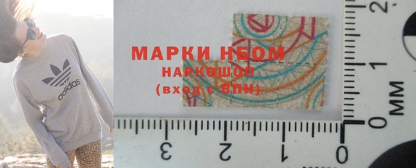 прущий лед Бородино