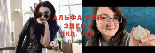 стаф Богородицк