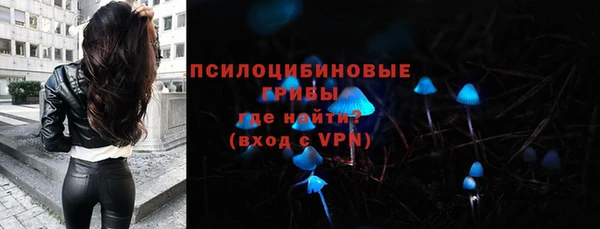 шишки Бронницы