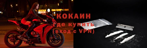 прущий лед Бородино