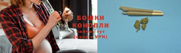 шишки Бронницы
