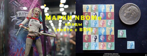 прущий лед Бородино