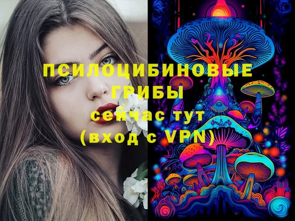прущий лед Бородино
