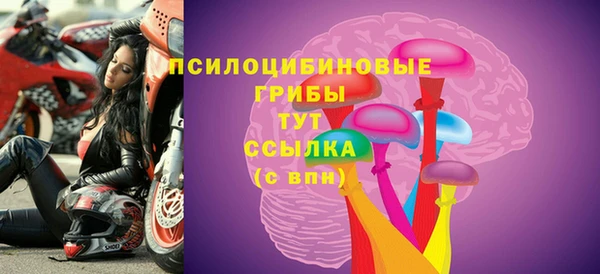прущий лед Бородино